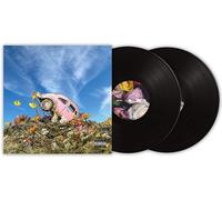 Sir Sly The Rise & Fall Of Loverboy (Vinyl LP)