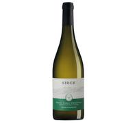 Sauvignon Colli Orientali del Friuli DOC 2024 - Sirch 0.75 lt