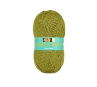 Sirdar Hayfield Bonus Aran Filato, verde felce (603), 100 g