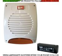 Sirena di Allarme Lampeggiante Led Esterna 110 dB 15 W Batteria Fiamm 12 V 2 Ah