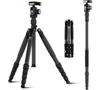 Sirui Traveler T-1205 + Testa K-10 II carbonio con monopiede