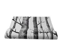 Sirxlevcy Carta da Parati nel Legno di Betulla Bianca Nera per Camera da Letto Design Moderno Carta da Parati nel Legno Rotolo di Carta da Parati per Soggiorno