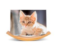 Sirxlevcy Cornici Rettangolari 5X7 Cornice per Foto Paesaggistica, Cornici per Foto in Legno con Legno Massello e Copertura in Acrilico Cornice Resistente e Facile da Installare