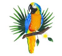 Sirxlevcy Decorazione Artistica Parete con Pappagallo in Metallo,Uccelli Esterno,Decorazioni per Recinzione Parete,Figura Colorata Pappagallo per Decorazioni Giardino Esterno A