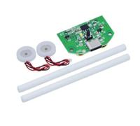 Sirxlevcy Modulo di Atomizzazione Modulo di Atomizzazione A Doppio Spruzzo Umidificatore USB Circuito di Atomizzazione Attrezzatura Sperimentale Ultrasuoni