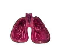 Sirxlevcy Posacenere In Resina A Forma di Polmone con Arte del Corpo Umano, Decorazione da Tavolo per La Casa, Decorazione Della Stanza