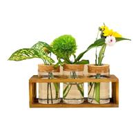 Sirxlevcy Stazione di Propagazione, Terrario in Vetro per Taglio delle Piante, Migliora L'Arredamento della Casa, Perfetto Centrotavola per Interni per Gli Amanti delle Piante