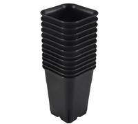 Sirxlevcy Vaso per Piante Succulente in Plastica Nera Quadrata da 12 Pezzi per Fiori di Cactus, ECC., Vaso da Fiori Nero