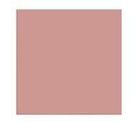 Siser Easyweed elasticizzato 38,1 cm x 3 'Iron On Heat Transfer vinyl roll allenatori World (oro rosa)