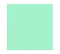 Siser EasyWeed Stretch Matte HTV - Rotolo di vinile termoadesivo per trasferimento termico (menta dolce)