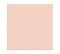 Siser EasyWeed Stretch Matte HTV - Rotolo di vinile termoadesivo termoadesivo (rosa ballerina)