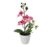 SiSinkal Orchidea artificiale Phalaenopsis in vaso, decorazione realistica, 26 cm, per casa, giardino, ufficio (B)