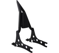 Sissy Bar con Cuscino Nero Opaco Schienalino Passeggero Custom per Motociclisti