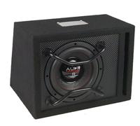 Sistema audio R08 EVO BR 20 cm subwoofer cassa bass reflex 300 Watt RMS RADION