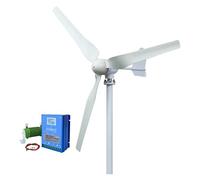 Sistema di batteria da 1280 Wh con banda sonora a basso rumore orizzontale 4000 W recentemente aggiornato for uso domestico(LCD Hybrid Control,48V)