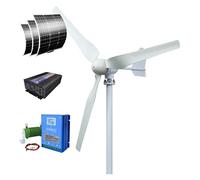 Sistema di batteria da 1280 Wh con banda sonora a basso rumore orizzontale 4000 W recentemente aggiornato for uso domestico(With solar system,12V)