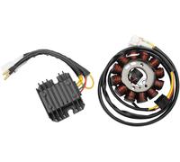 Sistema di carica ad alta potenza RICK'S MOTORSPORT