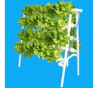 Sistema di Coltivazione idroponica, fioriera per Frutta e Verdura - Sistema idroponico per Interni - Kit per Agricoltura Verticale per Giardino a Torre per Interni