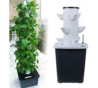Sistema di Coltivazione idroponica, Kit di Coltivazione idroponica, Sistema di Coltivazione idroponica da Giardino, Kit di Coltivazione aeroponica per Erbe aromatiche, Frutta e Verdura con p