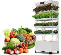 Sistema di Coltivazione idroponica, Kit per orto di Erbe aromatiche da Interno con Lampada | Giardino Intelligente per Cucina e davanzale | Inizio dell'orto, Bianco 0828