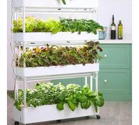 Sistema di Coltivazione idroponica per Giardino Interno, Set di Torri idroponiche a 3/4 Livelli, fioriera idroponica, Coltura idroponica Verticale per Piante, Adatto per P