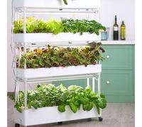 Sistema di Coltivazione idroponica per Interni, Sistema di Coltivazione idroponica per Giardino, Set di Torri idroponiche a 3/4 Livelli, fioriera idroponica, piantagione idroponica Verticale