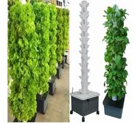 Sistema di Coltivazione idroponica Sistema di Coltivazione idroponica per Interni Sistema di Coltivazione a Torre idroponica Verticale con Pompa Serbatoio d'Acqua Staccabile Torre idroponica