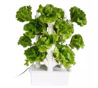 Sistema di Coltivazione idroponica, Torre di Coltivazione idroponica Torre da Giardino Sys-Torre idroponica per Erbe, Frutta e Verdura da Interno-Torre da Giardino con Pompa silenziosa, 4 co