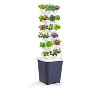 Sistema di Coltivazione Idroponica, Torre Idroponica Verticale per Erbe, Frutta E Verdura da Interni, 6 strati 30 siti di piante, Torre Aeroponica da Giardino con pompa e serbatoio dell'acqua da 10l