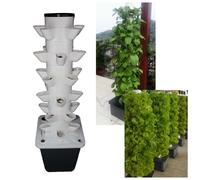Sistema di coltivazione idroponica Torre per verdure per fragole per interni