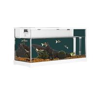 Sistema di filtrazione circolante, pompa dell'acqua silenziosa per pesci rossi, acquario rettangolare in acrilico trasparente, piccoli pesci e decorazione per ufficio a casa, 37,9 x 14,4 x 18,2 cm