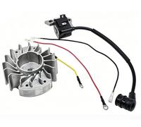 Sistema di motosega ad alta pressione per modelli MS210 MS230 MS250 con volano magnetico che supporta il controllo stabile dei giri