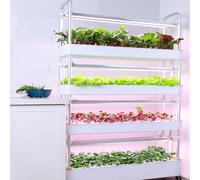 Sistema di piantagione idroponica con luci a LED automatiche, torre da giardino verticale per interni, attrezzatura per piantare intelligente senza suolo multistrato