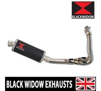 Sistema Di Scarico Silenziatore Trident 660 Tiger 660 Sport End Can 300BS