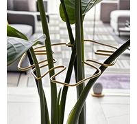 Sistema di supporto stabile e durevole - Struttura di sostegno in metallo per piante rampicanti, benefico per una crescita sana della pianta e per abbellire il giardino. Struttura di supporto per pian