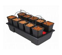 Sistema idroponico Wilma 10 vasi da 6 litri coltivazione idroponica piante fiori