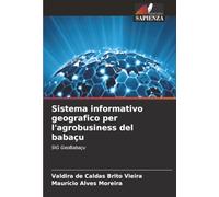 Sistema informativo geografico per l'agrobusiness del babaçu: SIG GeoBabaçu