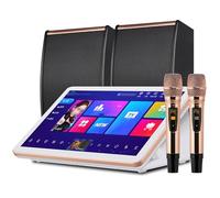 Sistema karaoke professionale, macchina per karaoke da 15,6 pollici con 2 microfoni e altoparlanti wireless, disco rigido integrato da 500 G, megafono digitale DSP professionale, per riunioni di