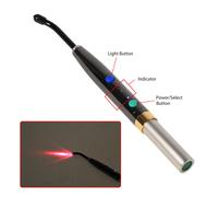 Sistema laser a diodi dentale Wireless Heal laser Pen Oral Soft Tissue Light