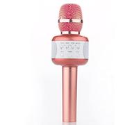 Sistema microfonico ricaricabile Karaoke Mic Cordless con ricevitore Controllo del volume per cantare Discorso Riunione Chiesa Rosa