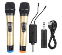Sistema microfonico wireless a doppio canale con ricevitore, microfono wireless UHF professionale per karaoke e riunioni di lavoro, con ricevitore