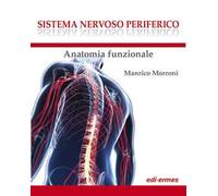 Sistema nervoso periferico. Anatomia funzionale
