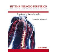 Sistema nervoso periferico. Anatomia funzionale