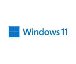 Sistema operativo Microsoft Windows 11 Home Polacco 1 Licenza 64 bit DVD