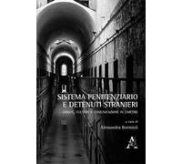 Sistema penitenziario e detenuti stranieri. Lingue, culture e comunicazione in carcere