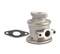 Sistema Pompa Aria Secondaria Valvola Dell'Aria per . Audi A4 8E2 A6 4B2 4B4