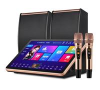 Sistema professionale per karaoke, macchina per karaoke da 15,6 pollici con 2 microfoni e altoparlanti wireless, disco rigido integrato da 500 G, megafono digitale DSP professionale, per riunioni di