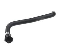 Sistema Tubo Flessibile Radiatore Per BMW F20 F21 F30 F35 F23 F22 F87 F80 F31 F33 F83 F32 F82 F36 328i 320i Per Tubo Flessibile Liquido Raffreddamento Radiatore Serbatoio 17127596831