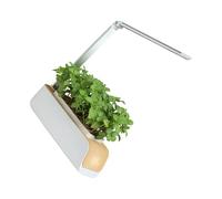 Sistemi di giardinaggio idroponici intelligenti per interni con luce LED regolabile per coltivare verdure, suolo e piante acquatiche, piantatrice per coltivazione di suolo e acqua