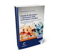 Sistemi di rilevazione e misurazione delle performance aziendali. Dalla redazione del bilancio di esercizio al controllo di gestione